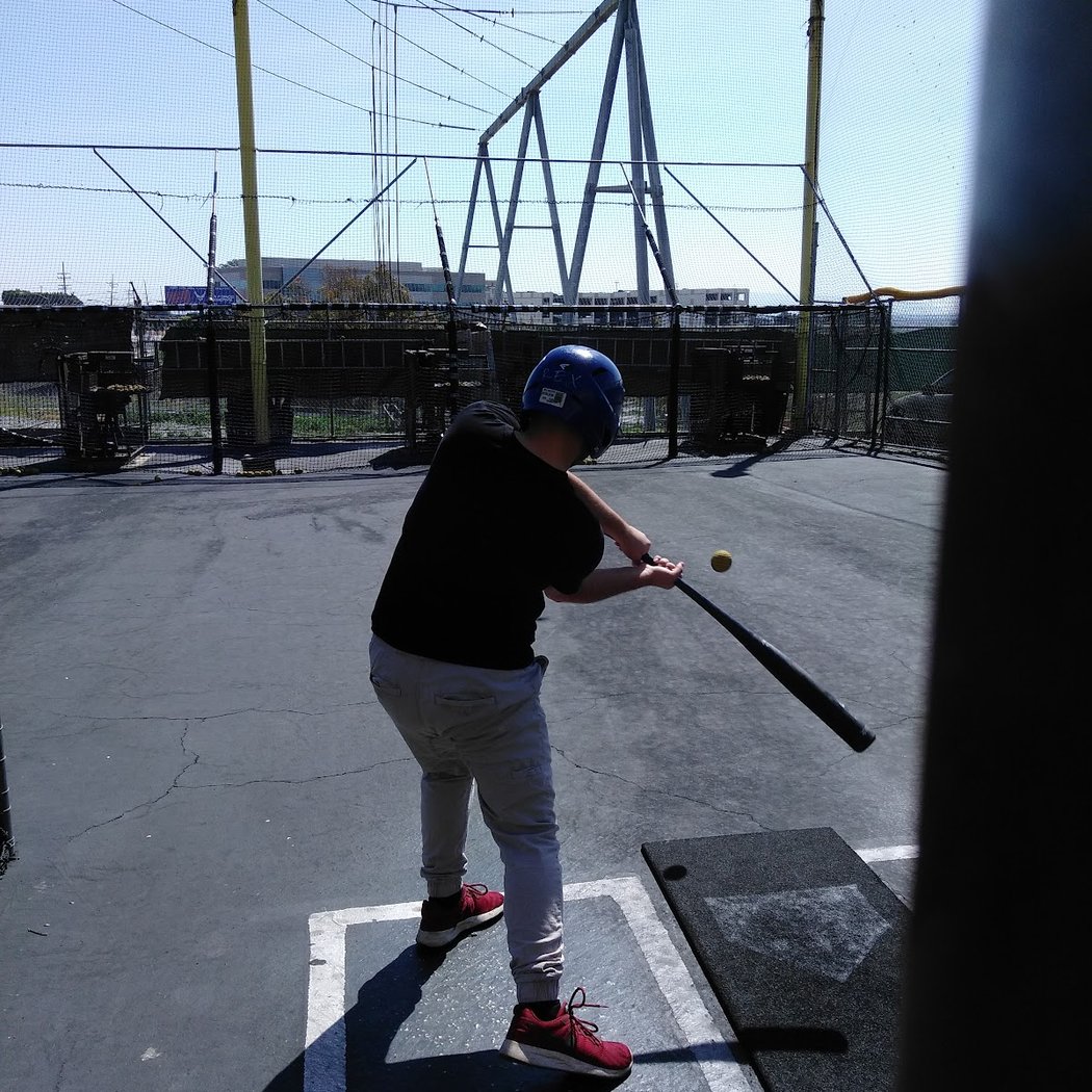 Rex's Baseball Batting Cage 1